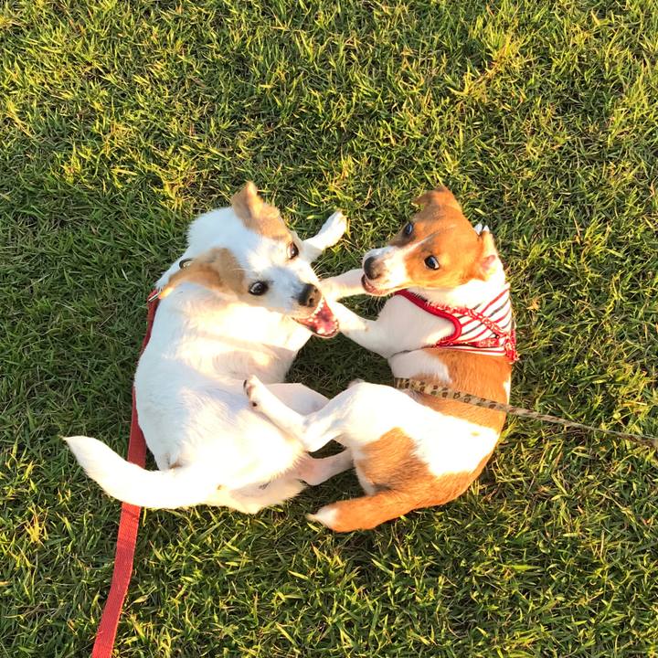 Cc32199b 7c42 436d 8cc9 ef5306ec03e9 1588300717330