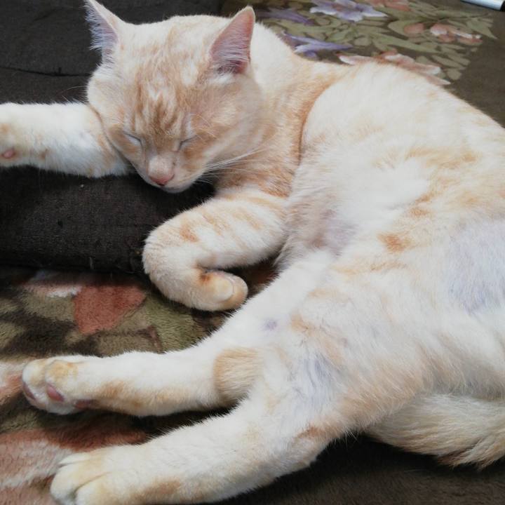 Cc325052 1b18 4a39 a94e d05585be837c 1618181874292