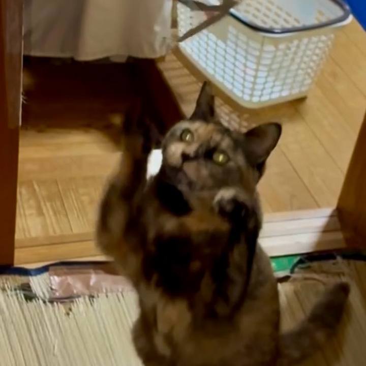 Cc3289ab 3c45 4299 afaf 41ec453898b8 1774556360218