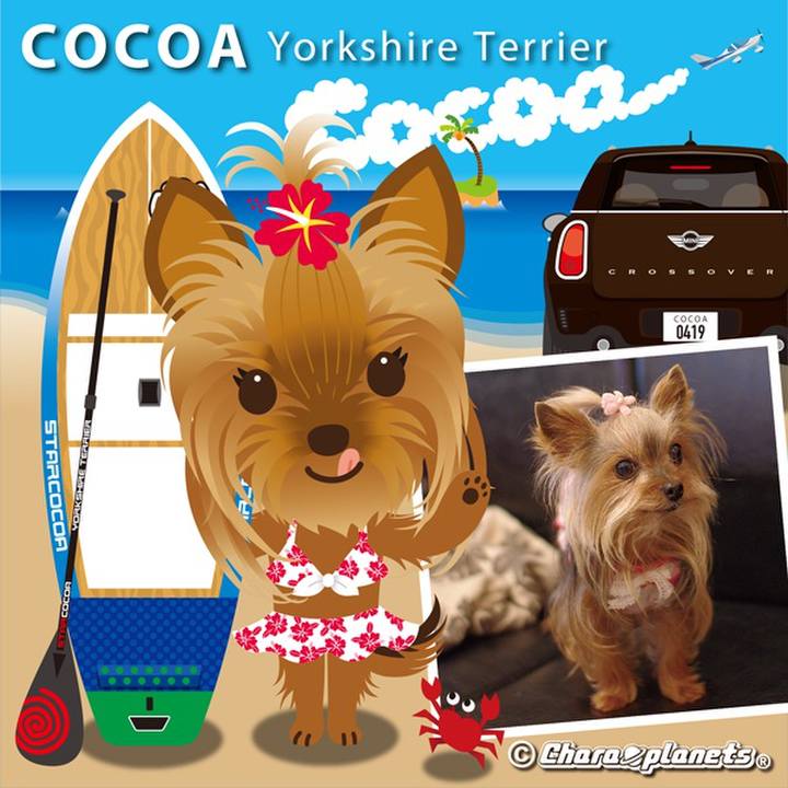 Cc32a171 87d1 4c81 bd44 5fef2448357d 1555637183449