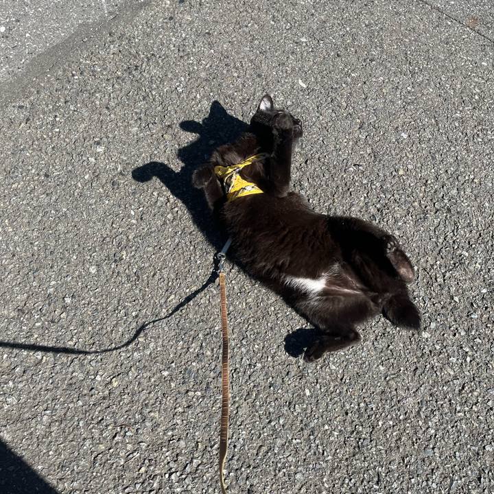 Cc32d115 08fd 4445 8d25 9082e11a9458 1709094539099