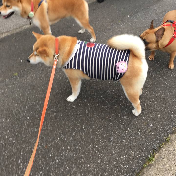 Cc32dd74 2f80 41f6 9053 e6e2f9d5fa8a 1560502517928