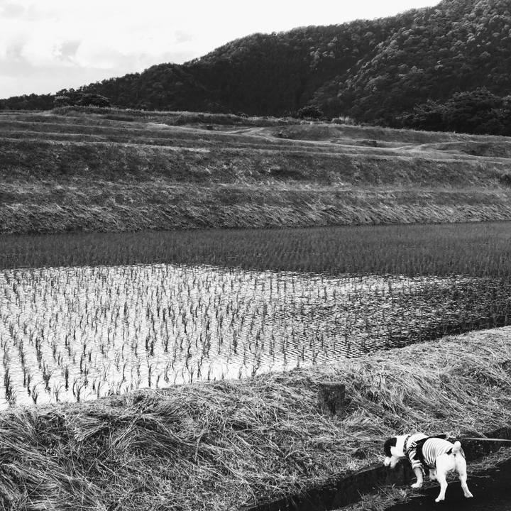 Cc32f6f7 ba4f 4b22 bd79 952786eb7f21 1558602452745