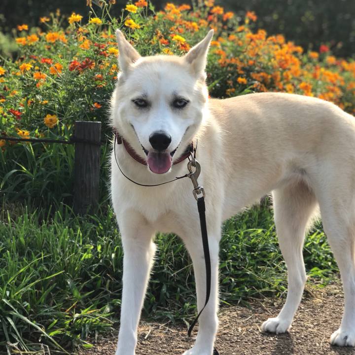 Cc334541 8b23 487f 973d 56c618851872 1533335545483