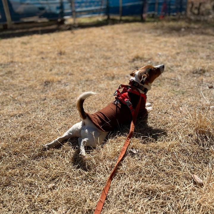 Cc334990 033a 49fc 9089 05ab15178eb7 1740393416433