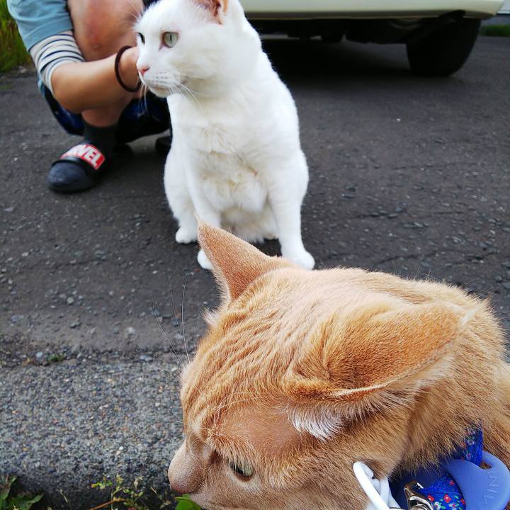 Cc335b07 d6d3 4c44 b5be 85a4a991bfd4 1624434344986