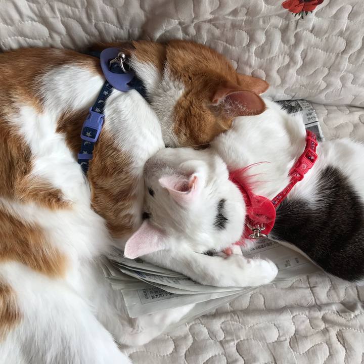 Cc335f96 ab12 4aa7 bd29 8554301fc7d1 1557645334004