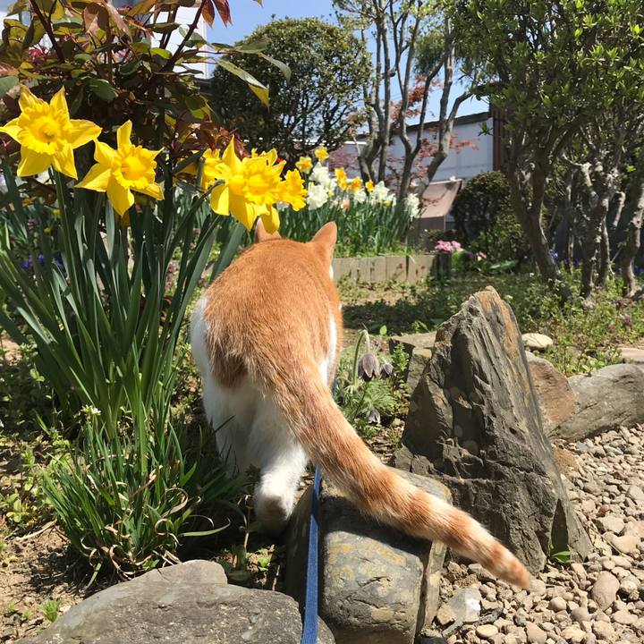 Cc33d696 708d 4a52 91fb 0ee85fd7e330 1524279966761