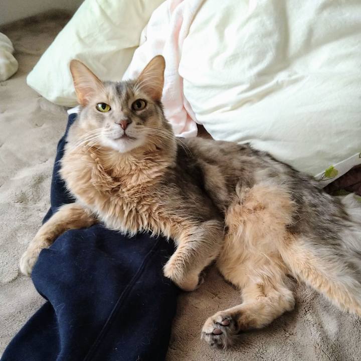 Cc33d738 fdb7 445d 80a9 43765dba1131 1613963364920