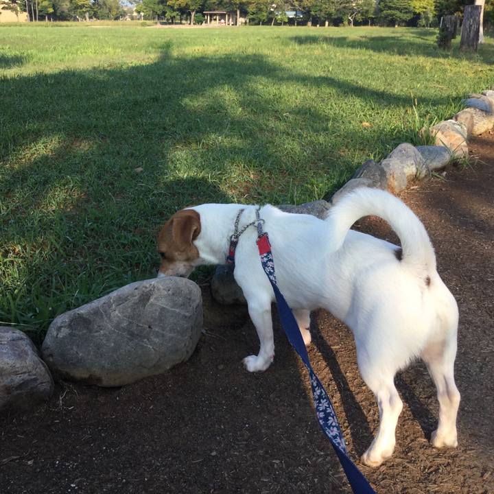 Cc33d90a 9388 4633 bded e2d232457661 1507762829689