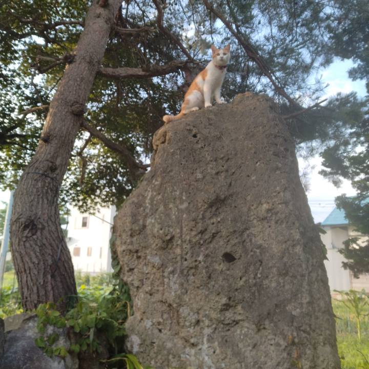 Cc3405f8 c81f 4913 9989 0e2f4da14029 1751409487999