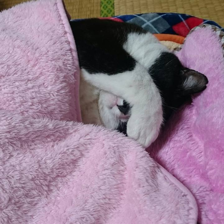 Cc34189b 401d 4508 93ae fb72277e115d 1510151020806