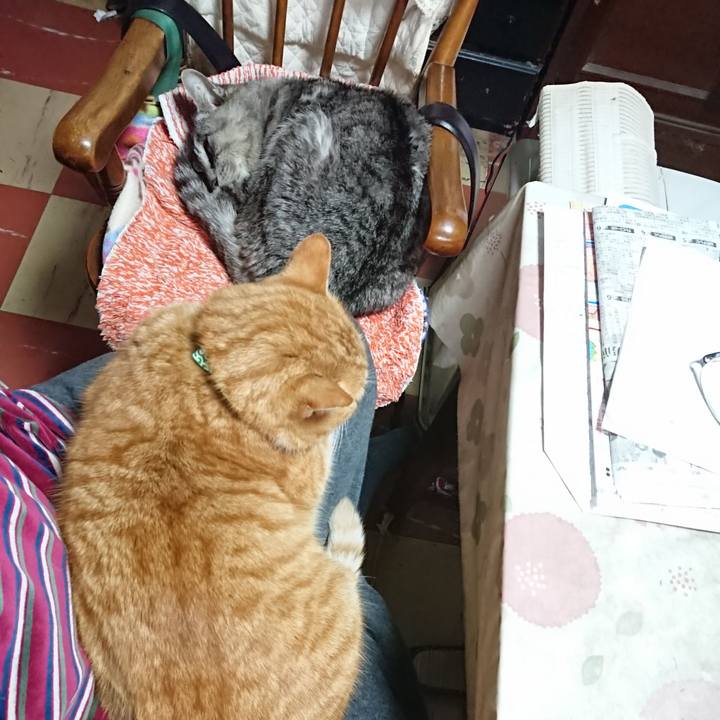 Cc342ff9 6011 4a9e 912f f7d6845a2425 1580015870906