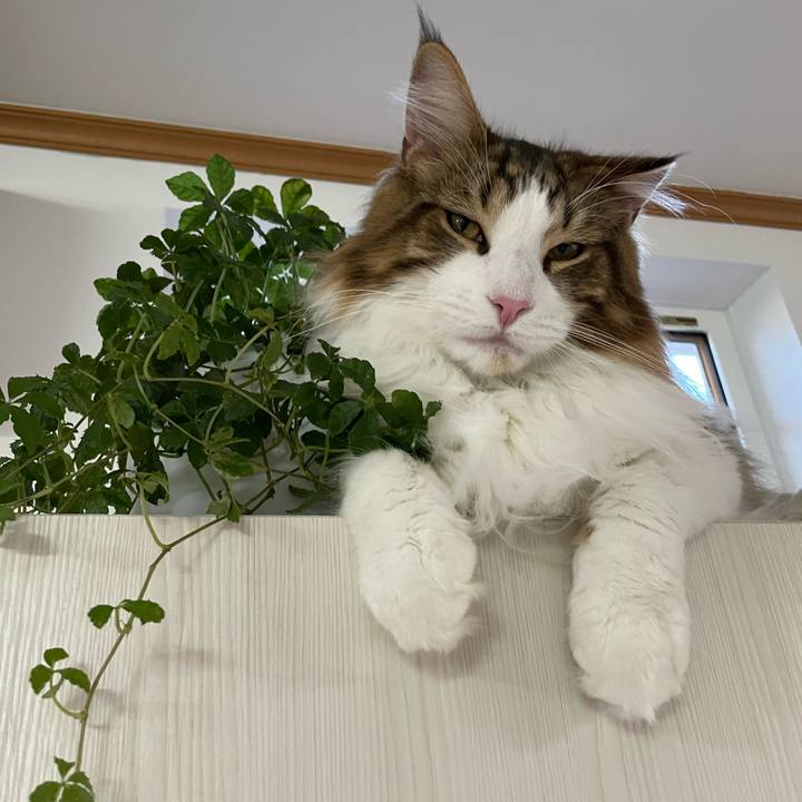 Cc344b9a e9c0 4d37 8f28 fd3dec2c8f85 1651964121891