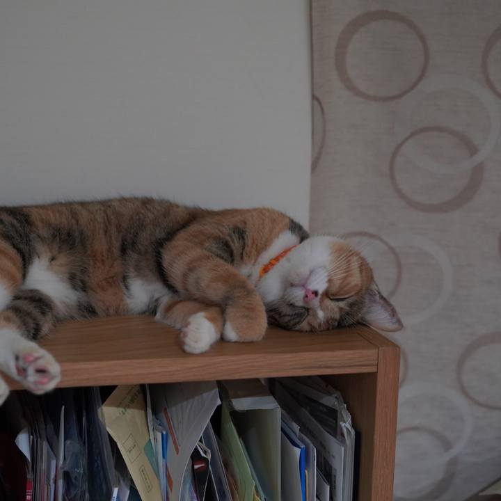 Cc345f50 c8d6 4dc4 a8c2 cc7fe180f1ae 1628517404407