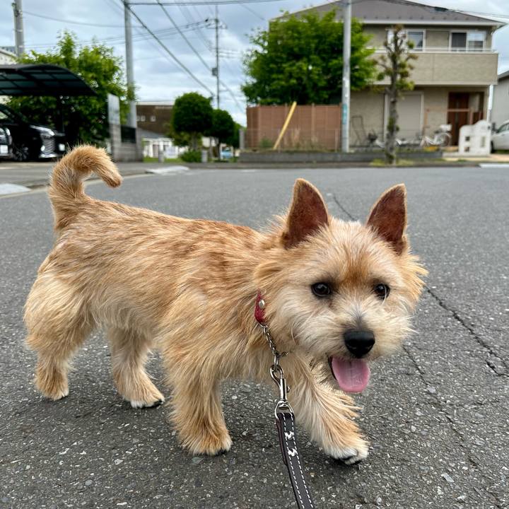 Cc346cc2 567c 4f72 8f2e 848c37815ca2 1715511907864