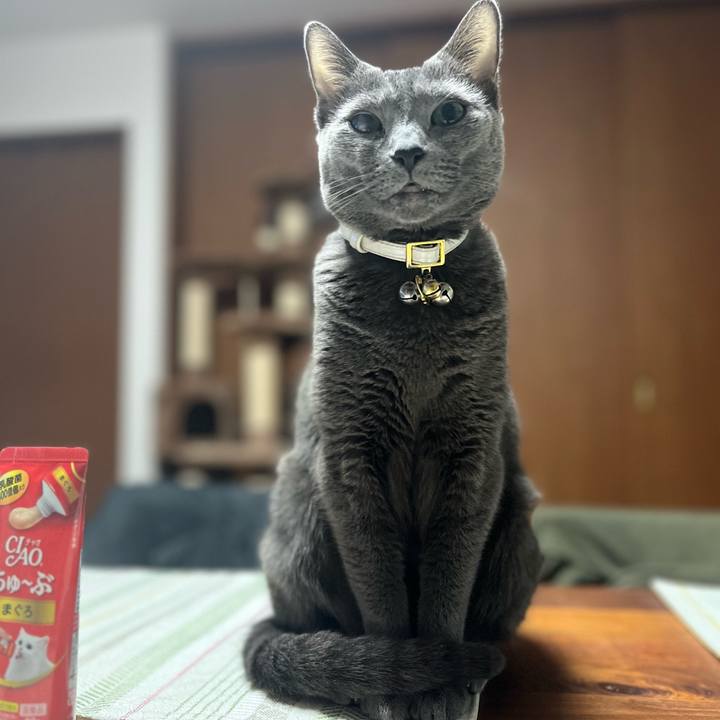 Cc349798 0b52 4a4c a790 1c1ba8c14ed8 1702475790920