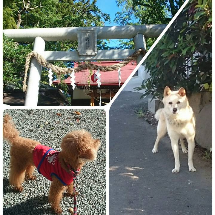 Cc34b353 6288 45de 8943 3e1a89d62161 1534551311637