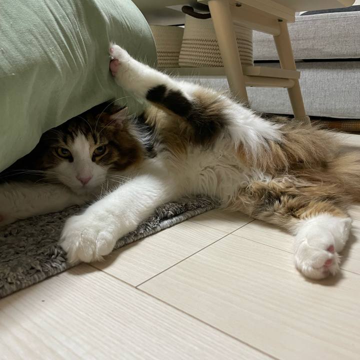 Cc34b371 129c 4874 8604 9d2caff86424 1641907445027