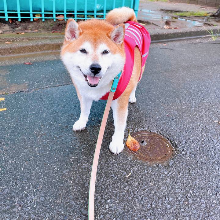 Cc34cf1c cc6c 46f3 93be 080c2619bfb6 1694143486351