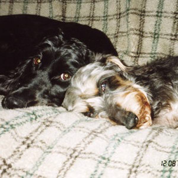 Cc34de0c 1a45 4f67 8c97 7bcfce297546 1522412744544