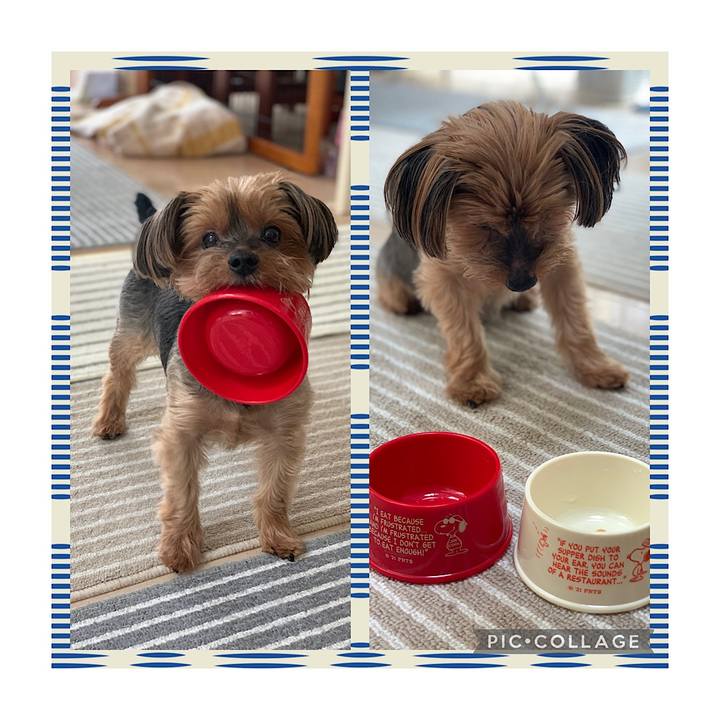 Cc35186a e15b 48fc a02f 17365a602e2b 1632973937915