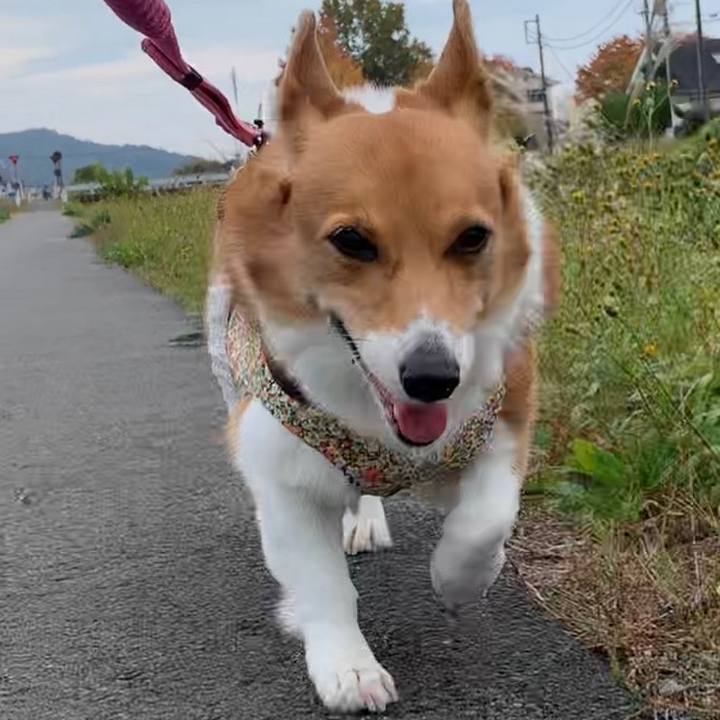 Cc3537c0 4a3e 439a 9aed 27a493cd7bac 1668307472302