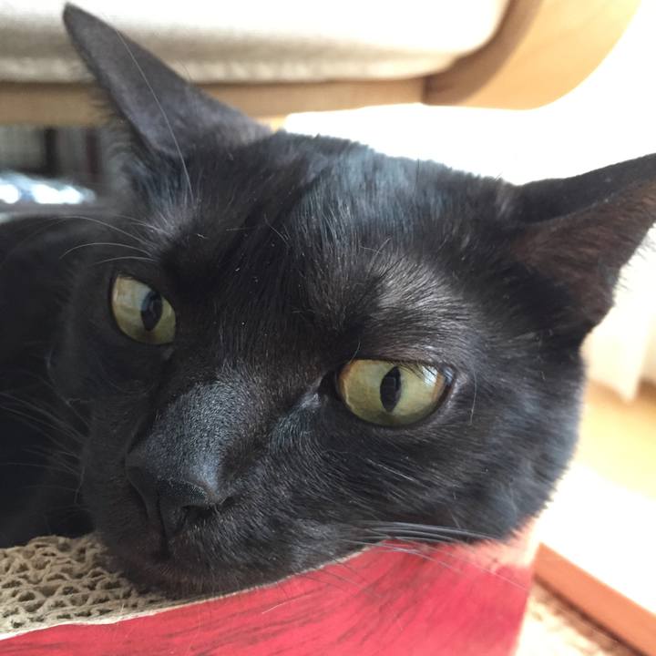 Cc356c9c 3480 4975 bee7 32ceb6add2fe 1527320211184