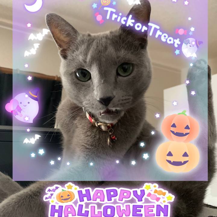 Cc35ab86 3cca 4133 8e1d 3ee1691667ed 1667201272389