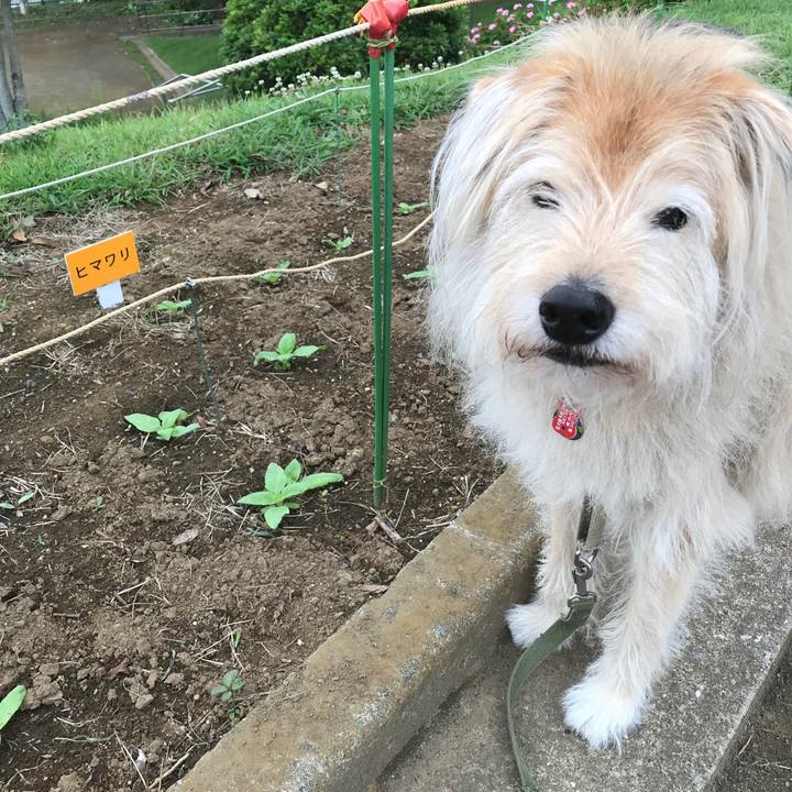 Cc35bde2 c51c 4885 8bd8 517a600fb50c 1624493034369