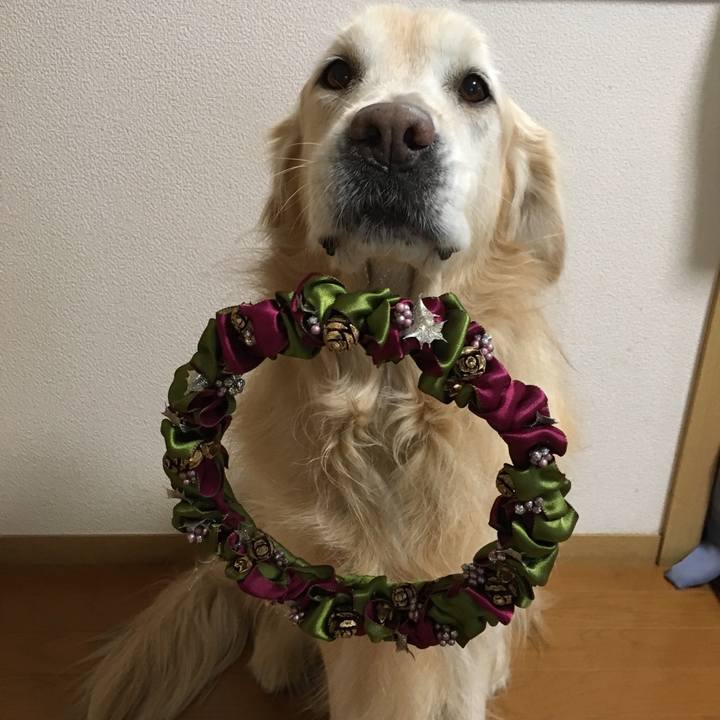 Cc35c2b8 5a99 442f a42a 04eb40a9272a 1514101960629