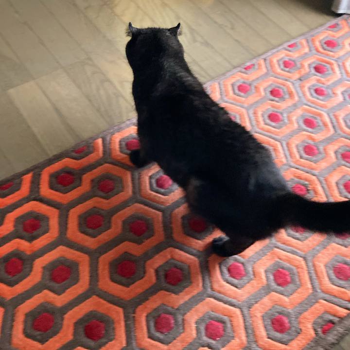 Cc3686cb 3394 48b4 93b8 972a9b604679 1596851203951