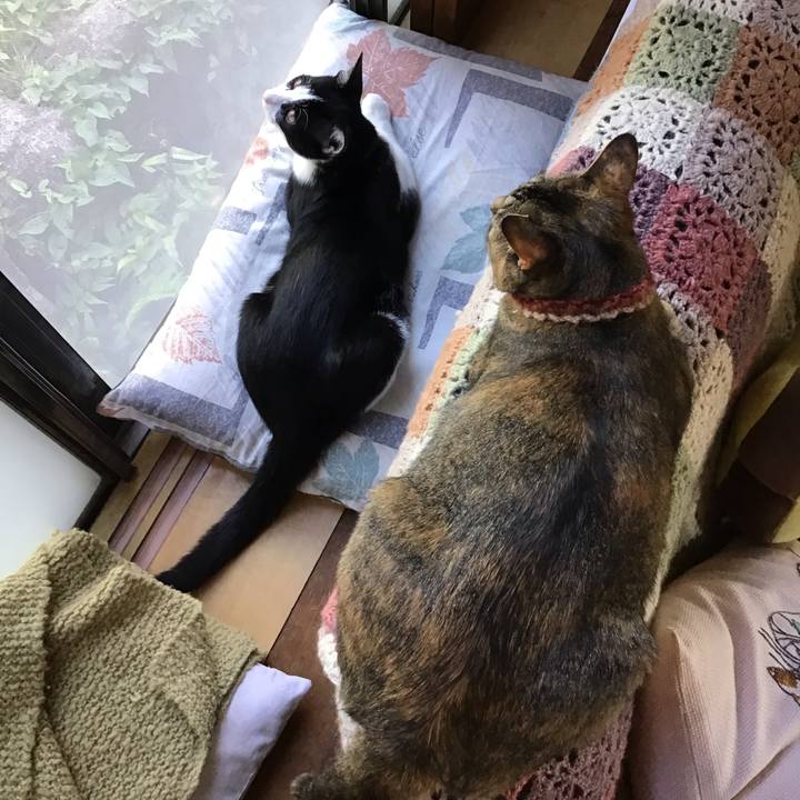 Cc36d4b7 285d 40d5 9c2e b98ac3d7f2bd 1632214593722