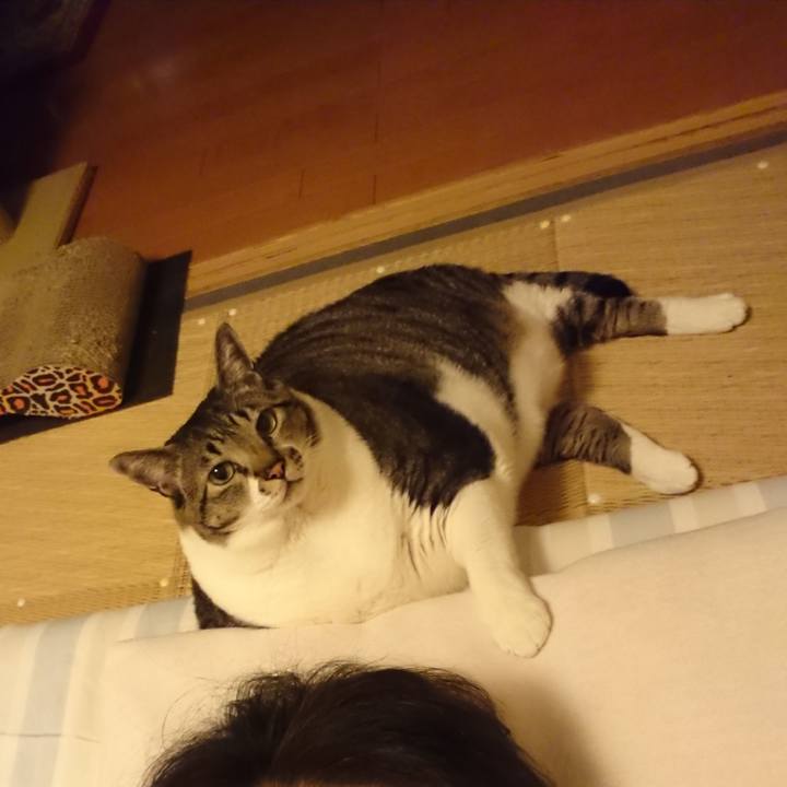 Cc36e8c5 14fb 44c3 b56c d577cb452e7f 1579789228836