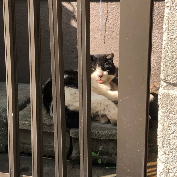 Cc36f92c 3c12 4b02 a7b8 7dcd082d48ff 1652696778485