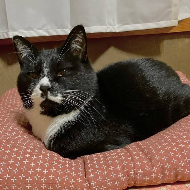 Cc370518 210d 4fff 9c13 82feab609f53 1679382382835