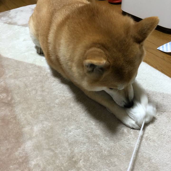 Cc37089d 6e45 4915 99d7 c8c065927c05 1554104600627