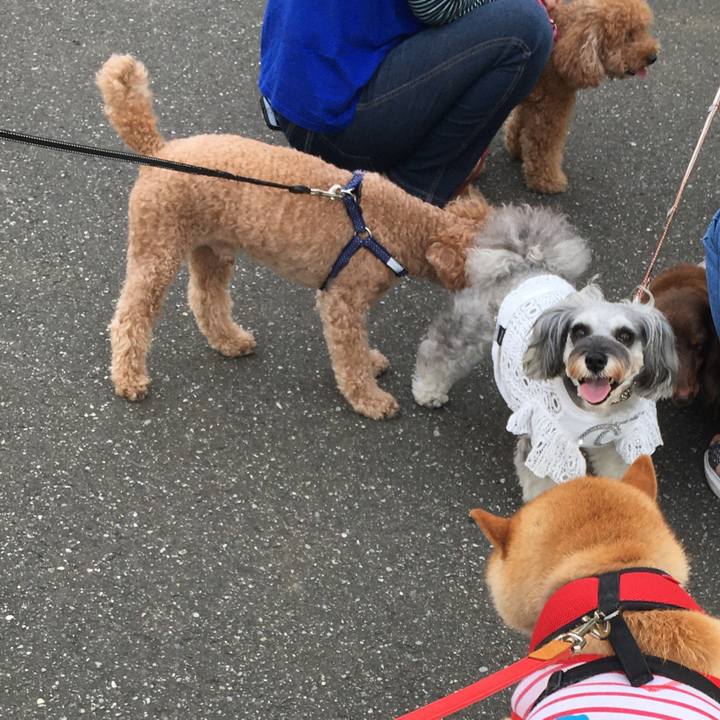 Cc370f8d a3b3 4173 a4df 48c57781e18c 1596844763151