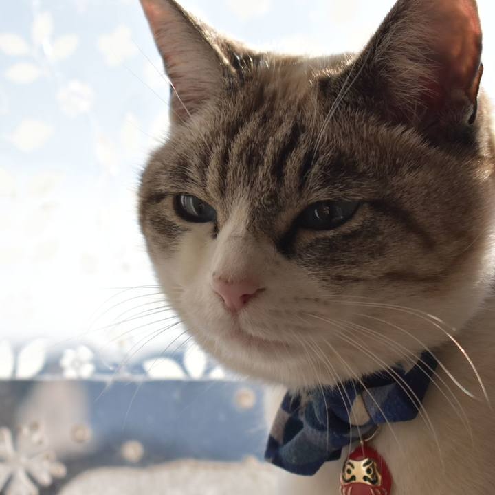 Cc379d4b 74fd 4c2d b843 e22fe61dd4fe 1609668866931