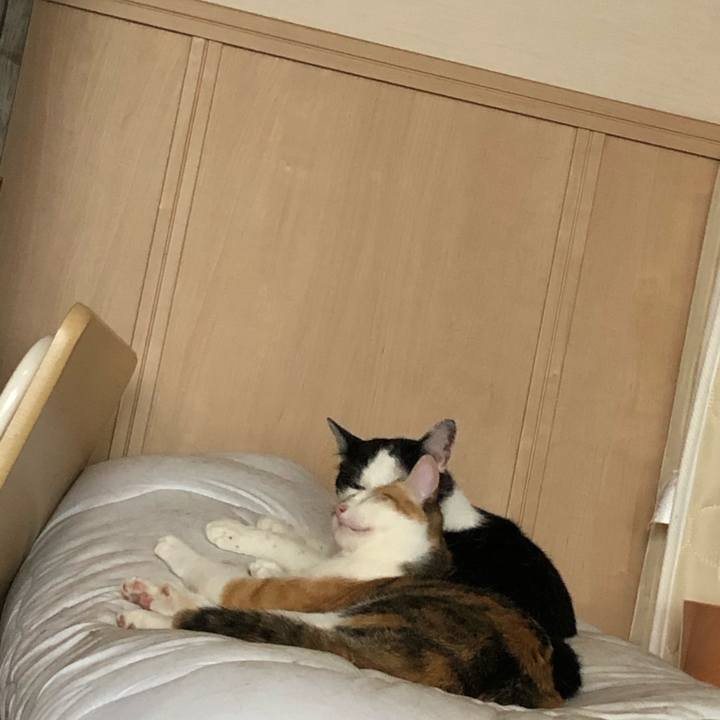 Cc37c5c6 342c 462f aa53 11b4828c7562 1594429929015