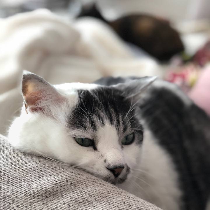 Cc37ff68 a887 4854 b950 5015fae58ef3 1584683100925