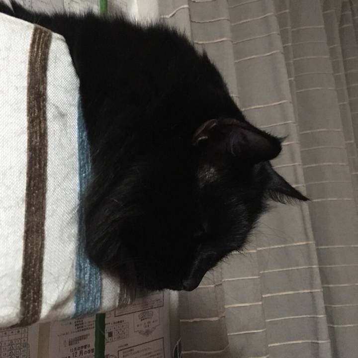 Cc3800f7 ca19 4f50 927f 04fa5b049003 1544623430844