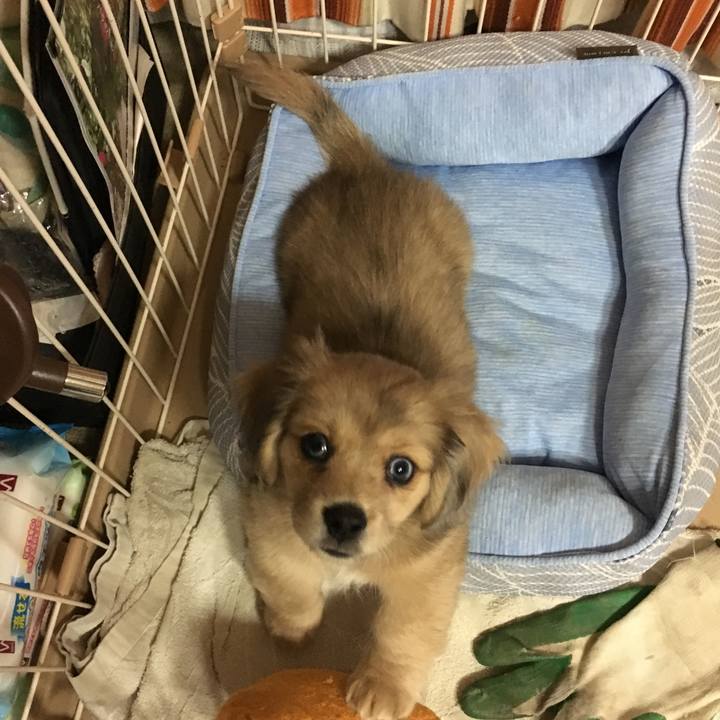 Cc386643 c1bb 4a4e 9184 f85254dea8cd 1560673202878