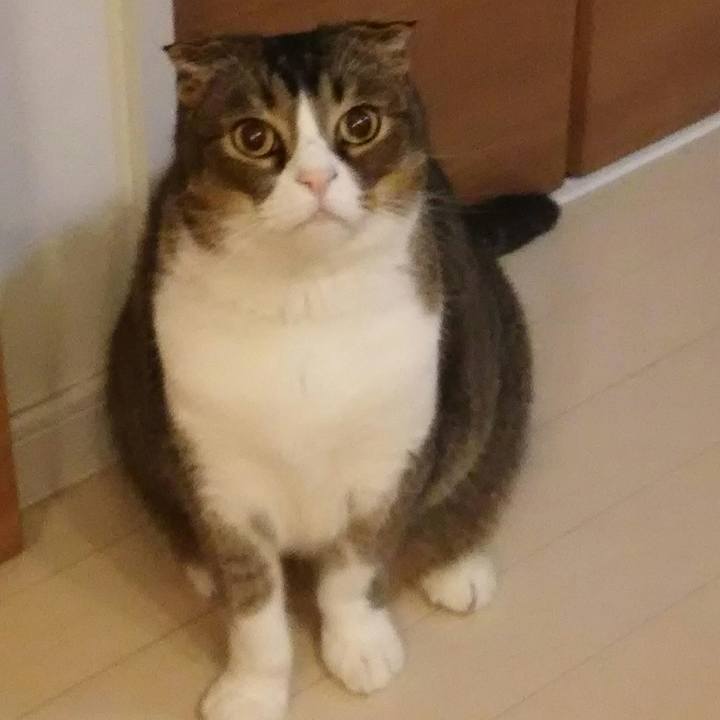 Cc3895ab 7851 4fe4 915c e603b49a86f8 1522240860883