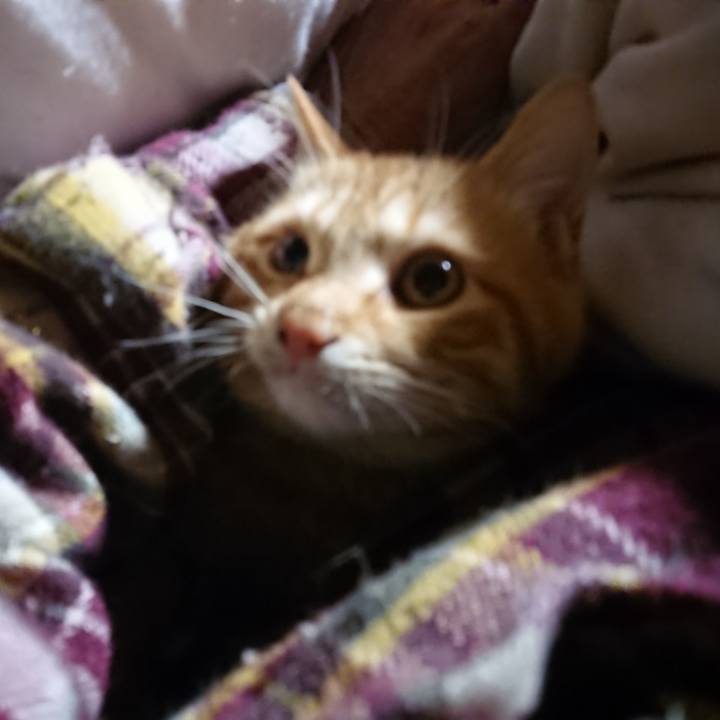 Cc38ca46 5f39 4d45 be30 6cb6dffd7a60 1641075454064