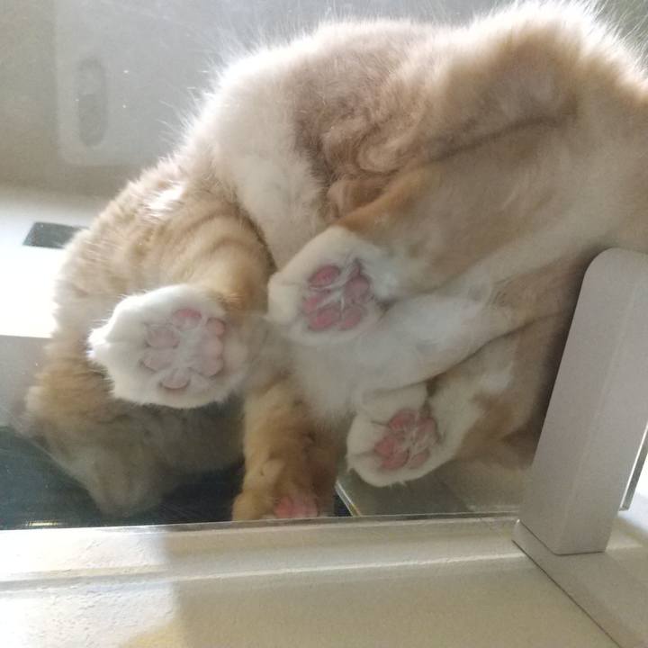 Cc38e22b 9219 46d7 ade7 711fd041fc1a 1639518109561