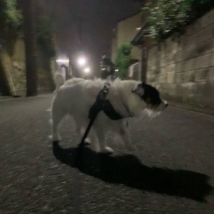 Cc3976a4 419a 4eea 9413 ff89c43f8a94 1663165501381