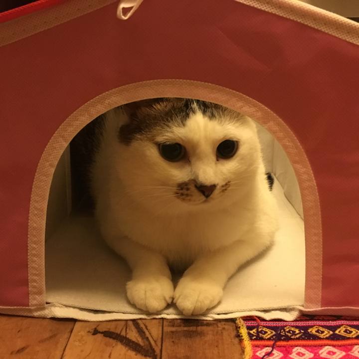 Cc399793 407d 44f5 be90 63f1915cccb6 1525360697325