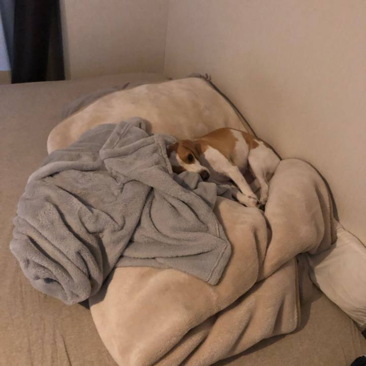 Cc3998d5 588b 4fb8 8c12 8c659b487417 1573125335840