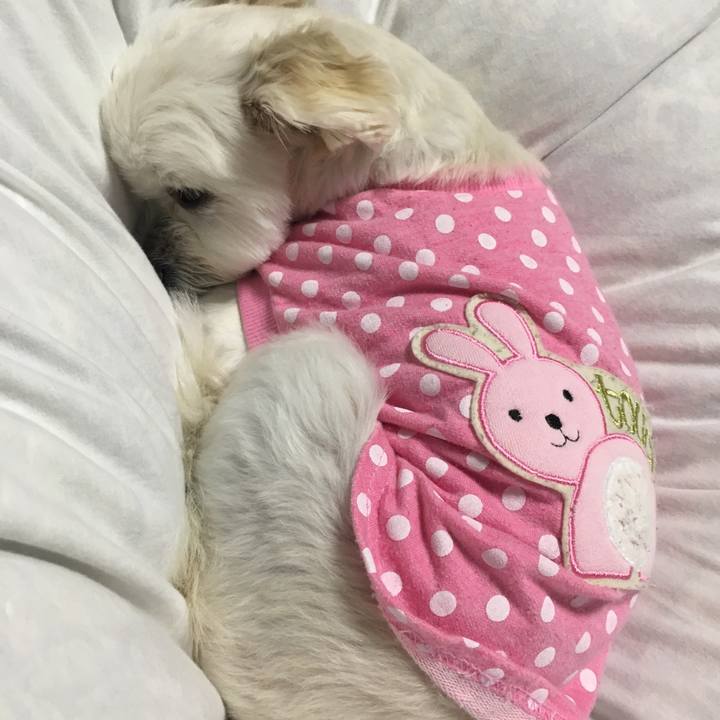 Cc39bc7e 24f7 4573 b5a7 7925070d5b16 1508418387767